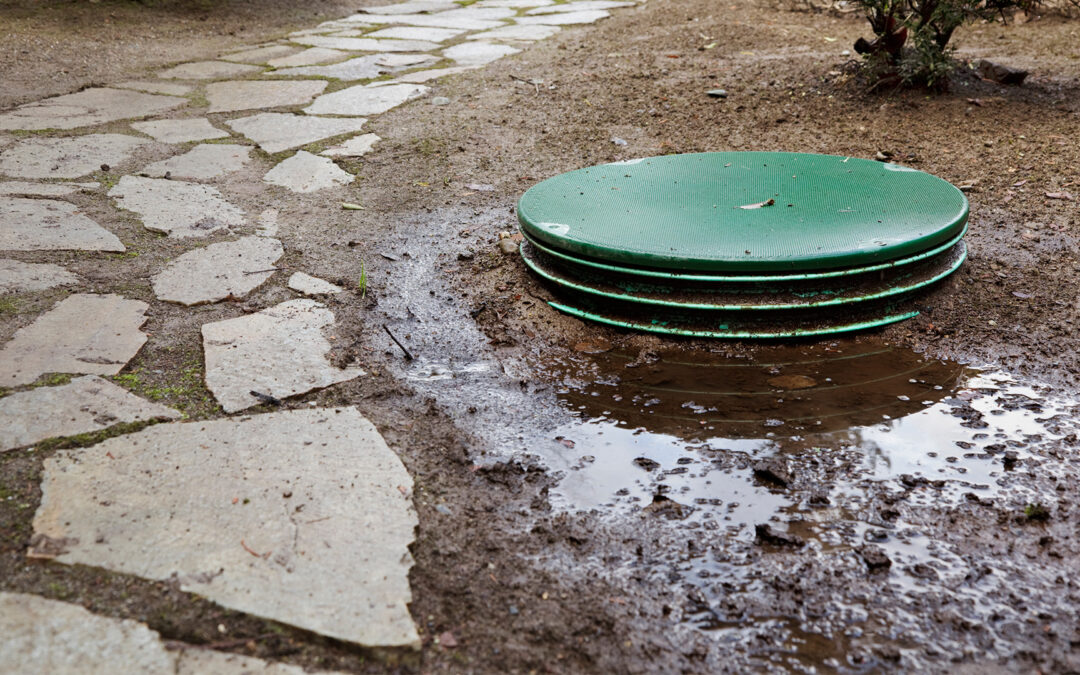 How to Tell If Your Septic Tank Is Full: Signs & Next Steps
